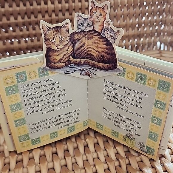 Two Mini Cat Books - Picture 1 of 12